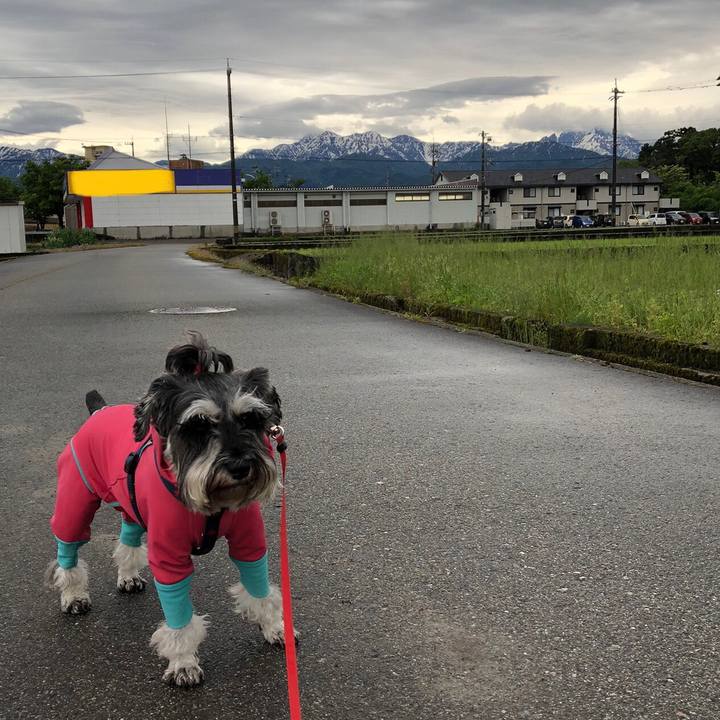 6213a7b5 1f91 4468 adfb 697bd49512ea 1621154277256