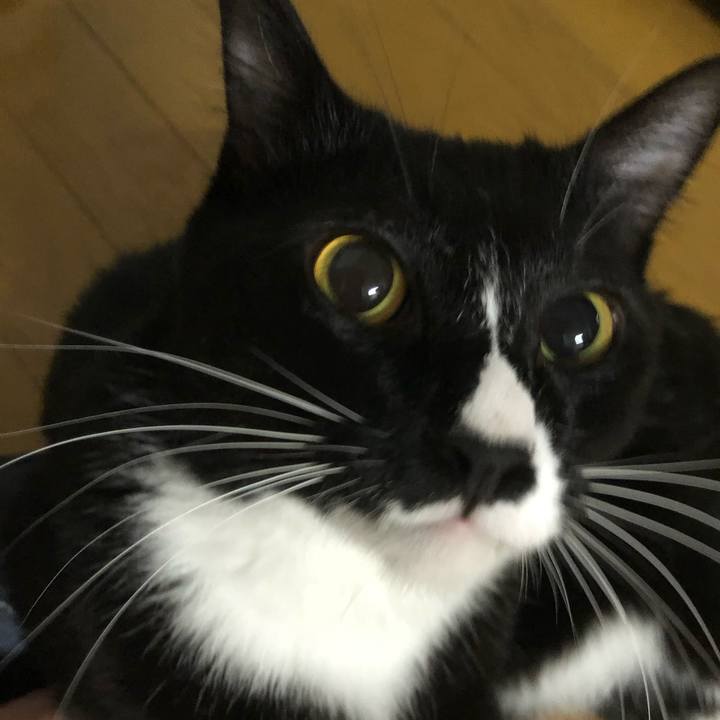 6213afb1 758a 47d3 8a0f c9d9028bcc9d 1535279145606