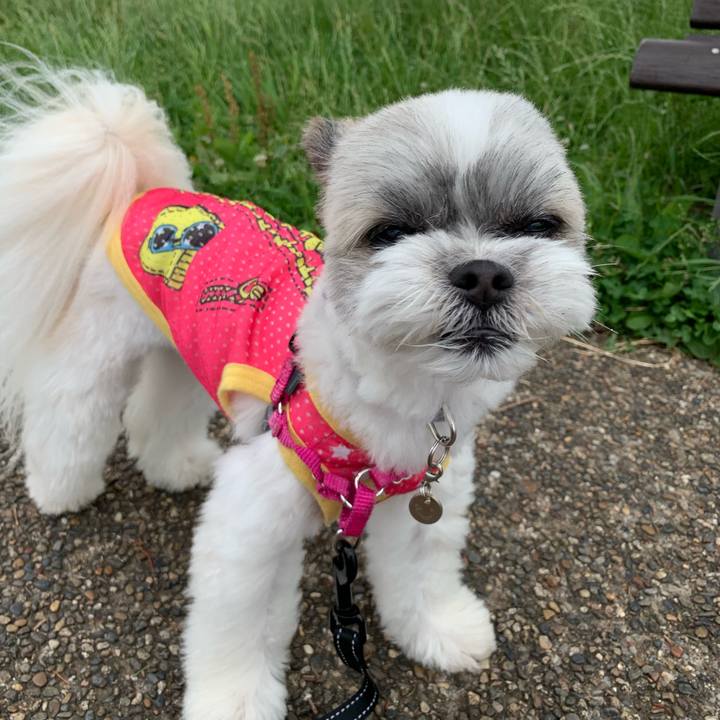 6213dce0 6f0e 4d8a a207 5fd2d41d7f23 1561628822851