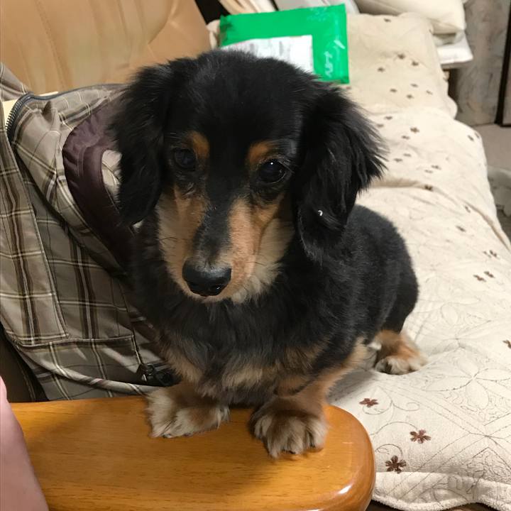 6213eecc d8f6 4011 9123 fa695d63277d 1512648769394