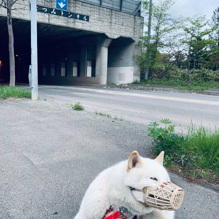 621442ac 68cf 476f aeda 2f2251b11ffc 1557530603217