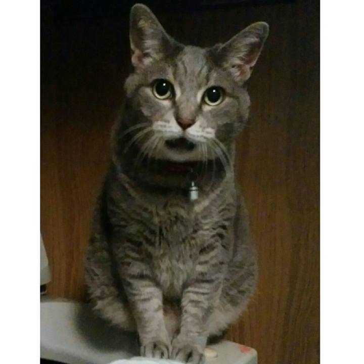 6214453a 5c74 4e3a b5f8 2a3d770478f4 1540475284491