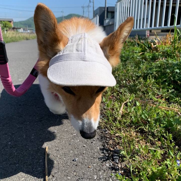 62146931 5a0f 46c7 b25b fcb3b2417f59 1681866762002