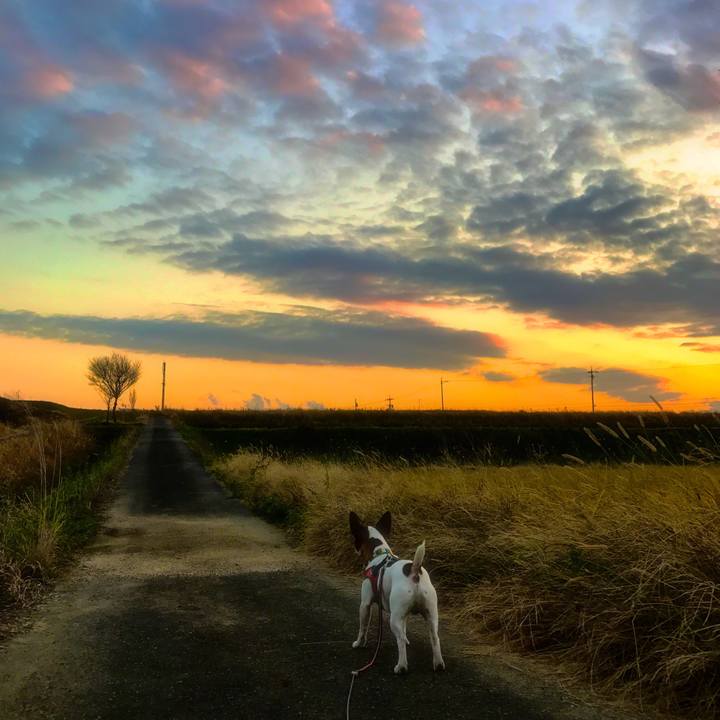 6214737f 711d 4824 90f3 48df97c954c1 1511787816855