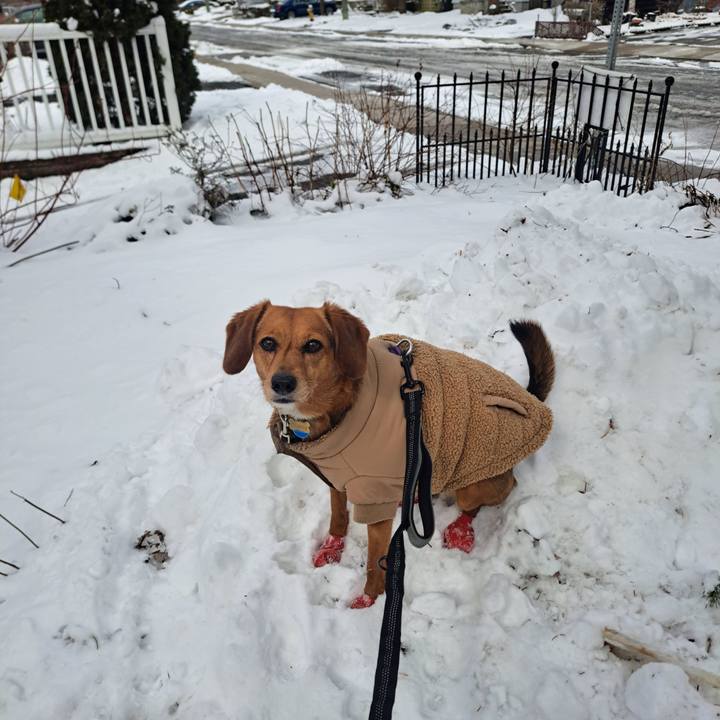 62147c36 0979 463f ab26 700a2c0f2763 1773779624495