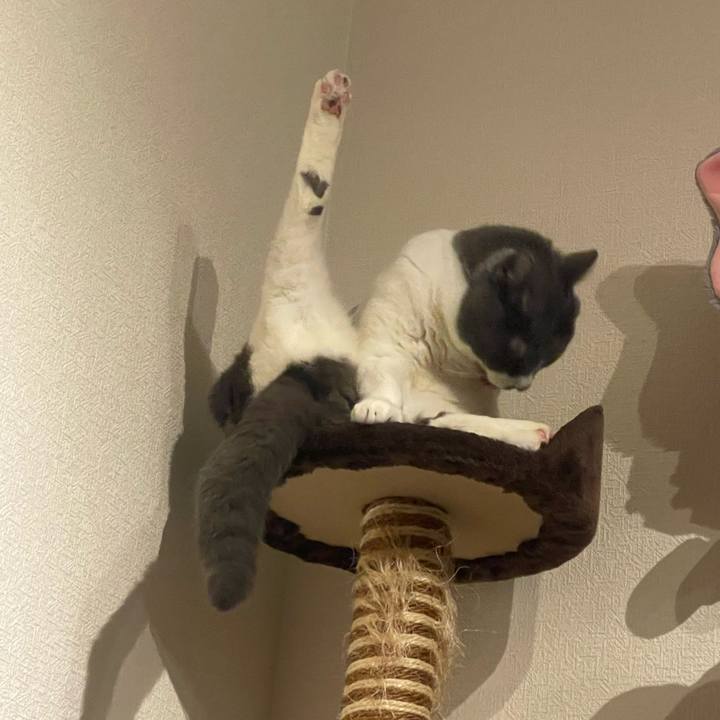 62147e3c e185 4e08 83e5 4be5fa597d37 1734796174026