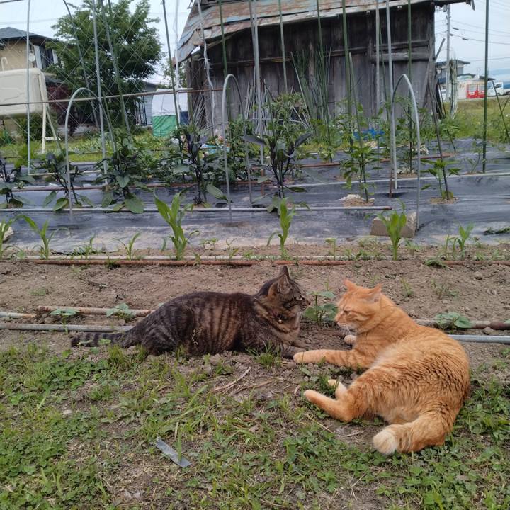 62148304 f8cd 4308 b1a0 236e12f761a1 1717753941673