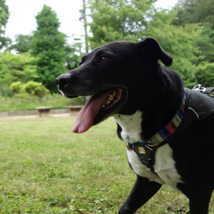 621496c0 7564 481a 85ca b6ff266ee605 1652314643352