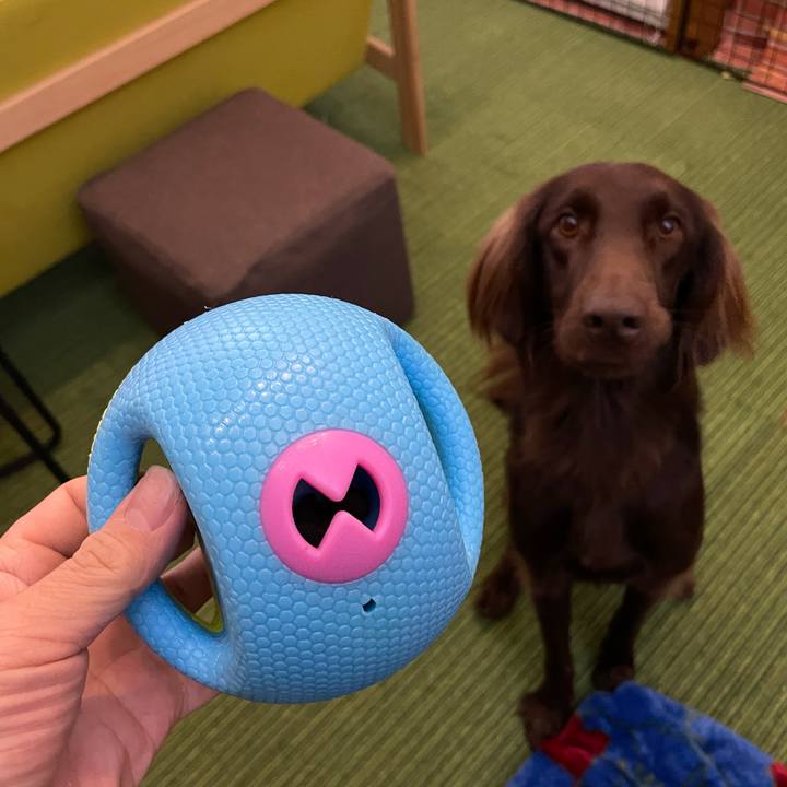 6214a0cf ccdb 4132 ba3f b359993dd561 1608506351666