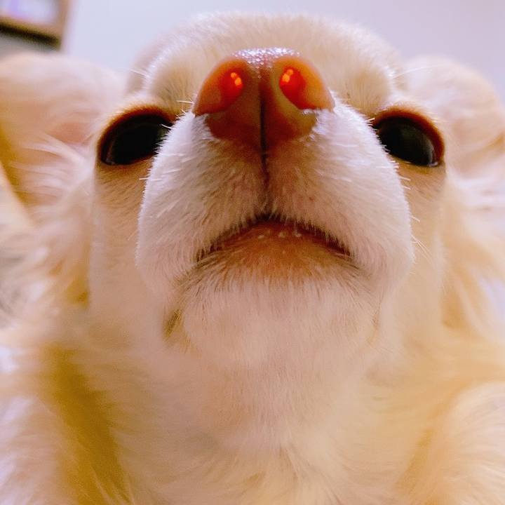 6214c17c b78a 4bf3 85d7 90e15d64b392 1621684709221