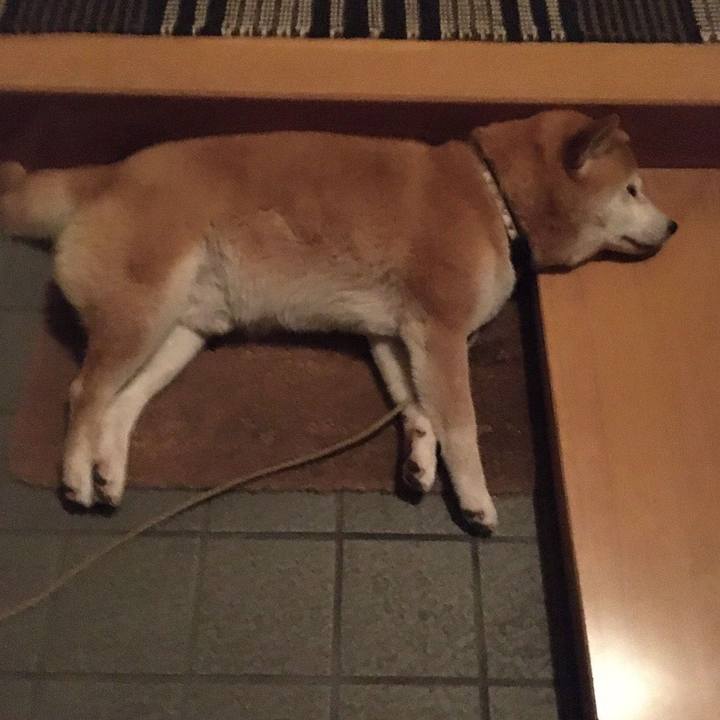 6214c201 da74 4733 8f7e bc62c4762c67 1592219817398