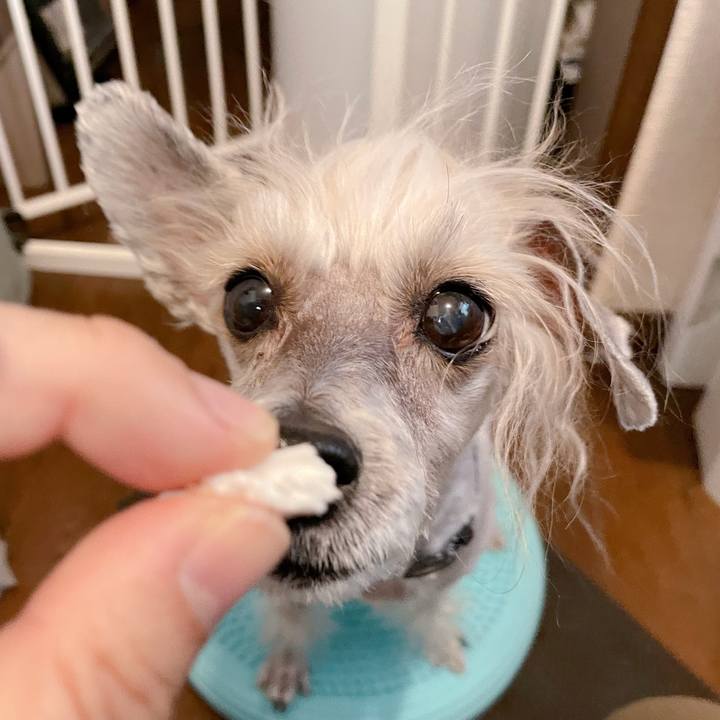 6214defd e26a 4059 93d5 26a265f8e84a 1768811261625