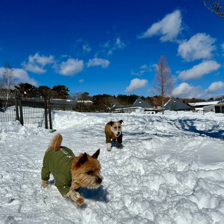 6214e5be 37ee 42dd 8260 60e4edaf02e8 1739977884840