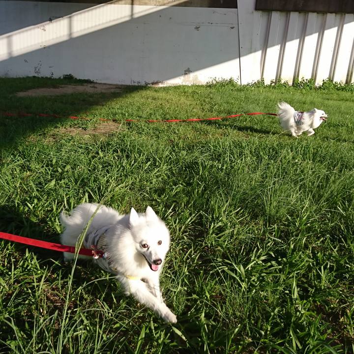 6214f4e2 e991 40a7 9912 1cc564502e45 1601195864116