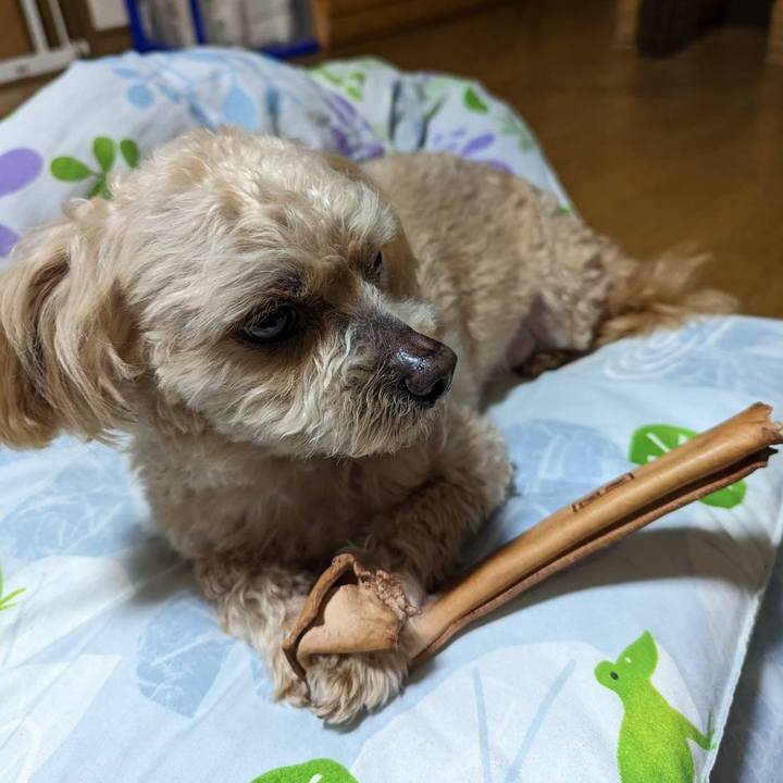 6214f627 1c7a 4228 b147 058180f59d2b 1681645684129