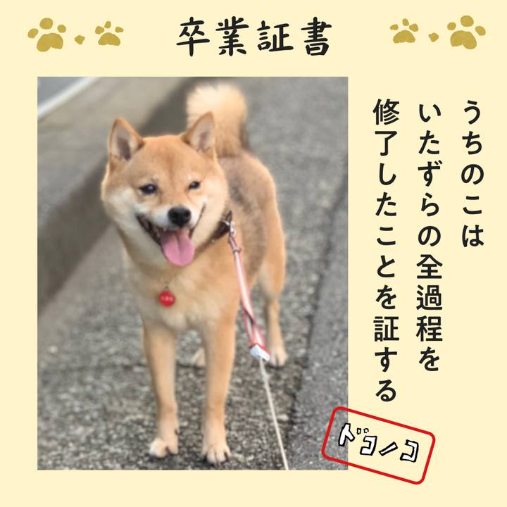 62150de9 309e 4435 9a70 951264b050e7 1771833212729