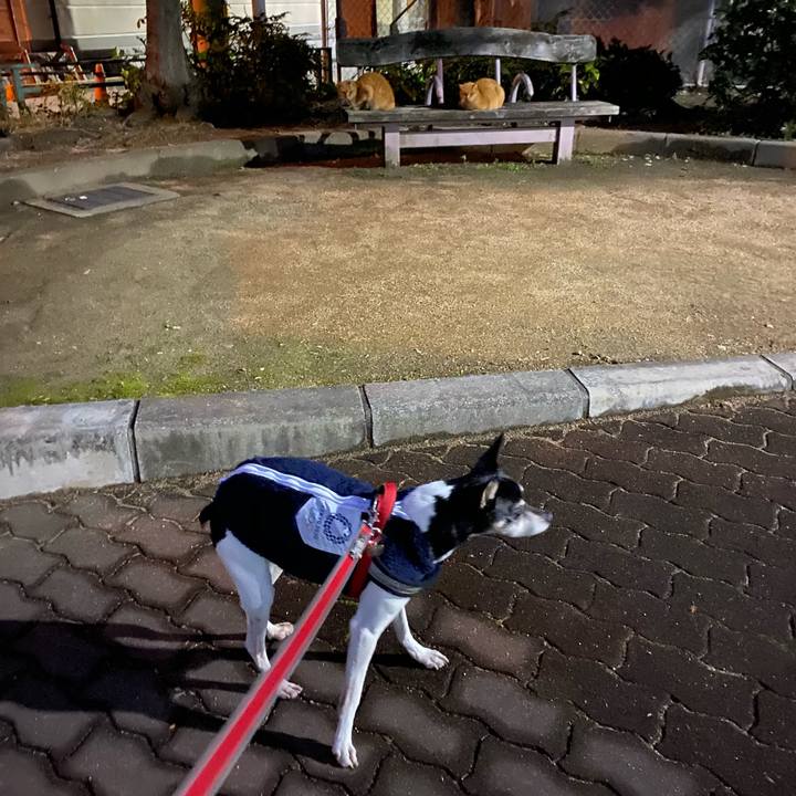 62150ed5 5514 49c4 84ee 292f4edaa7ea 1580162322470