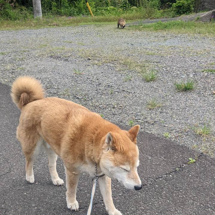 621534da 5e38 420f b92e ebe276a79c38 1748671230738