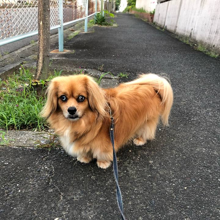 62155ad4 56c9 4098 928b 476e2adcd214 1563915718260