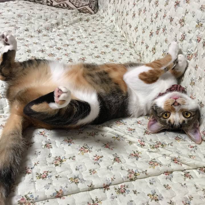 62156b3f b3b0 4028 b1db 20cbe00ac670 1635403238879