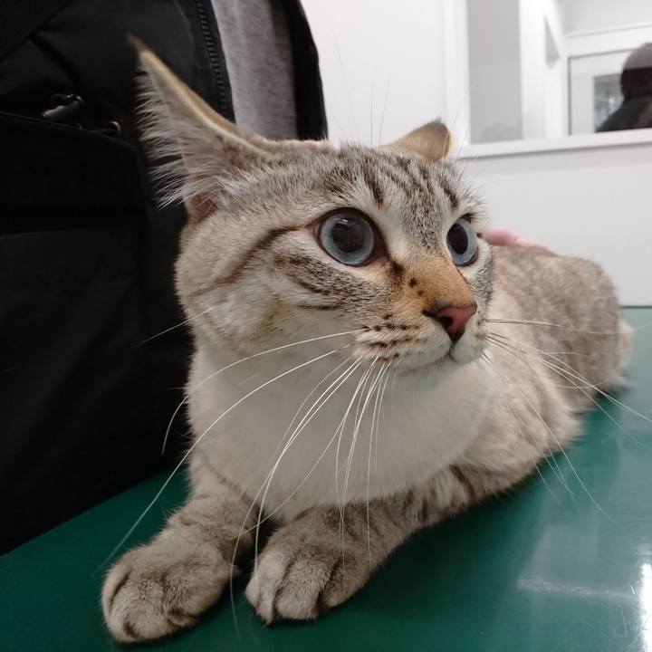 621572fa f53e 445b 9a6a 6941c33c0183 1519038794246