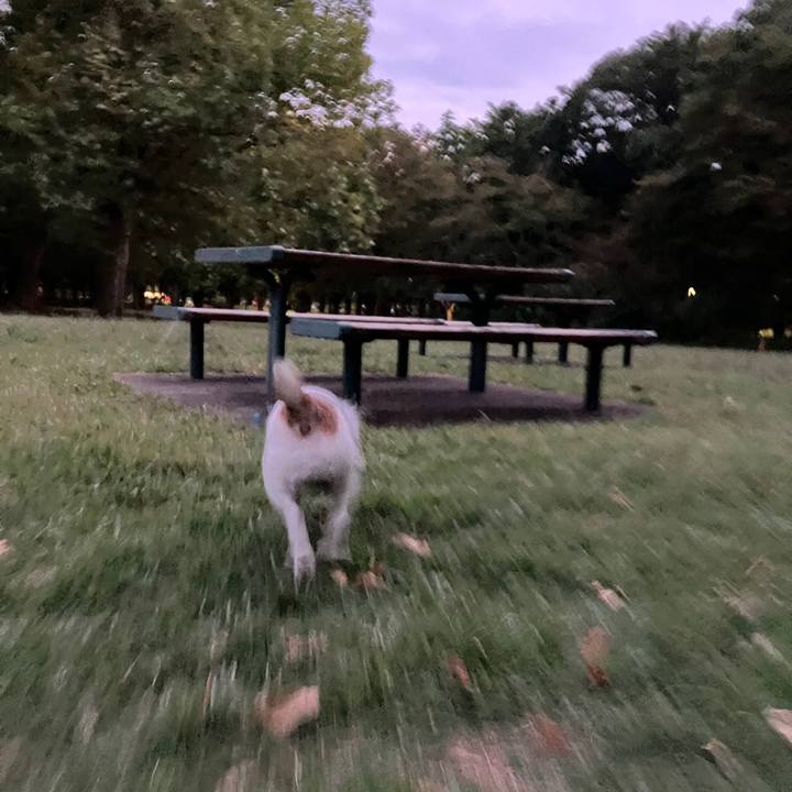 6215d618 1ff7 474c 99fa b4b1458fdf25 1697671188799