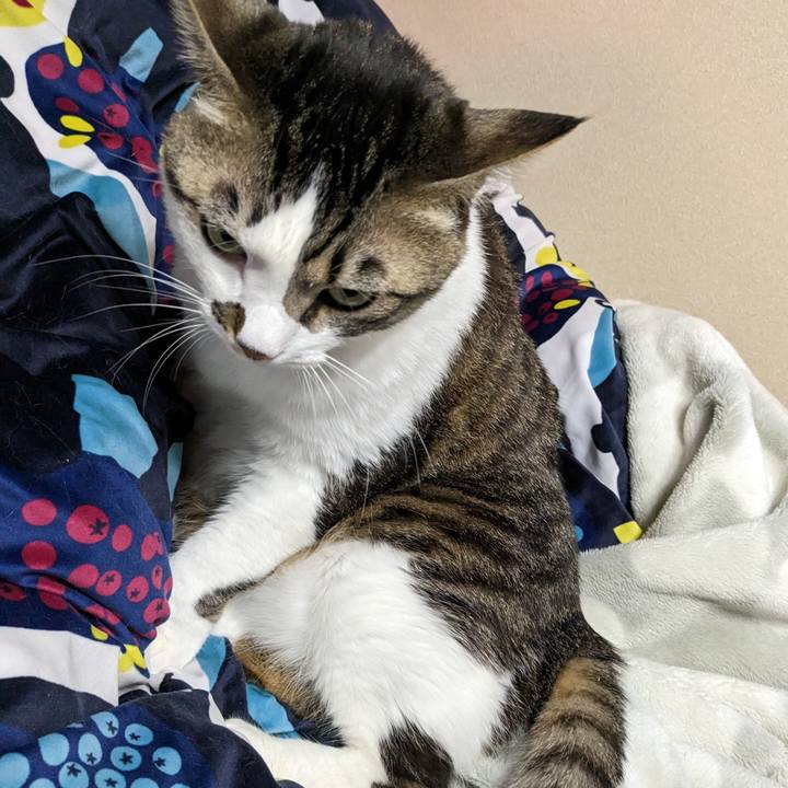 6215d836 c93a 486e b59e 5e26c98bcea9 1676691513661