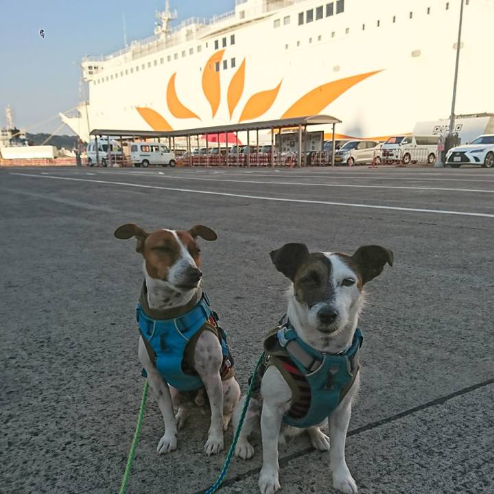 6215e9e6 0c01 4f18 b72b 516c309f3de3 1606288583896