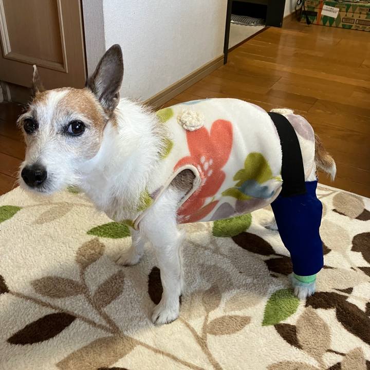 6216044d 51d5 4c73 9eb3 33d72fc2dea2 1715901886771