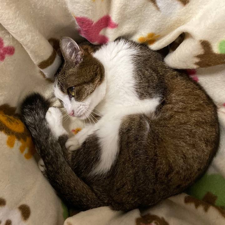 62162e81 66a4 401b 9c8d eefdd8afa826 1572693162802