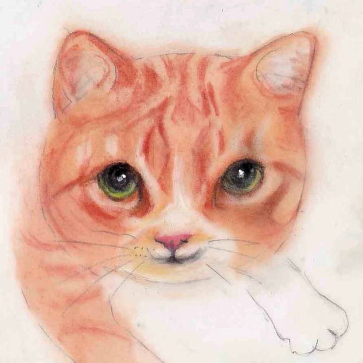 6216302d 2972 4577 8995 8d3b9aa0e5bf 1646232585857