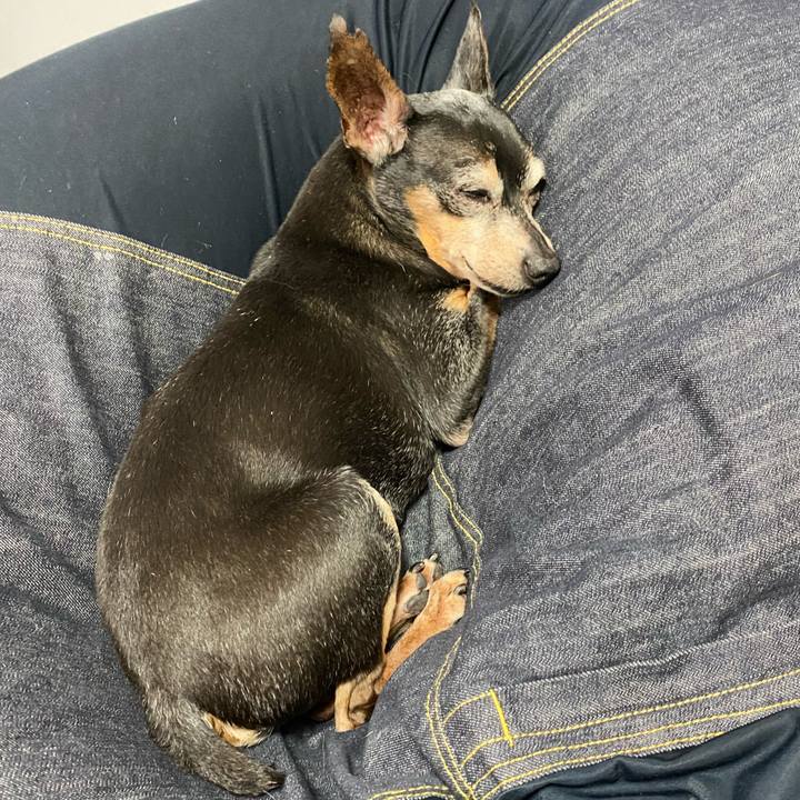 621664bd 5e82 41d5 b707 80c1dcdbcc37 1591012866488