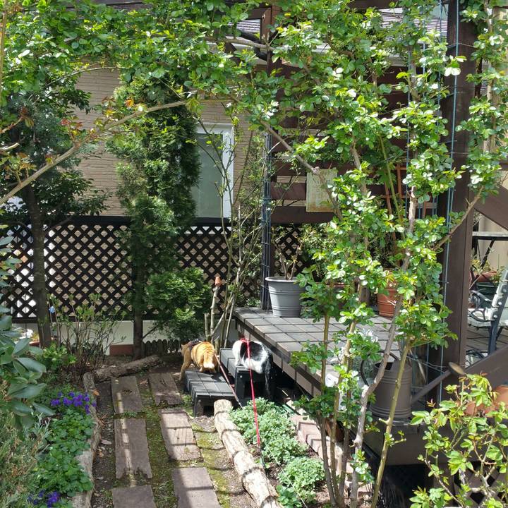 6216667f 3705 471c 871b 2c93b4e78e3b 1523848508410