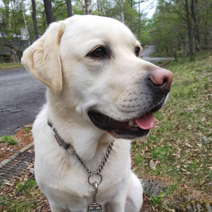 621691d4 18c4 427c 97cc 0848c8df8047 1525594389855