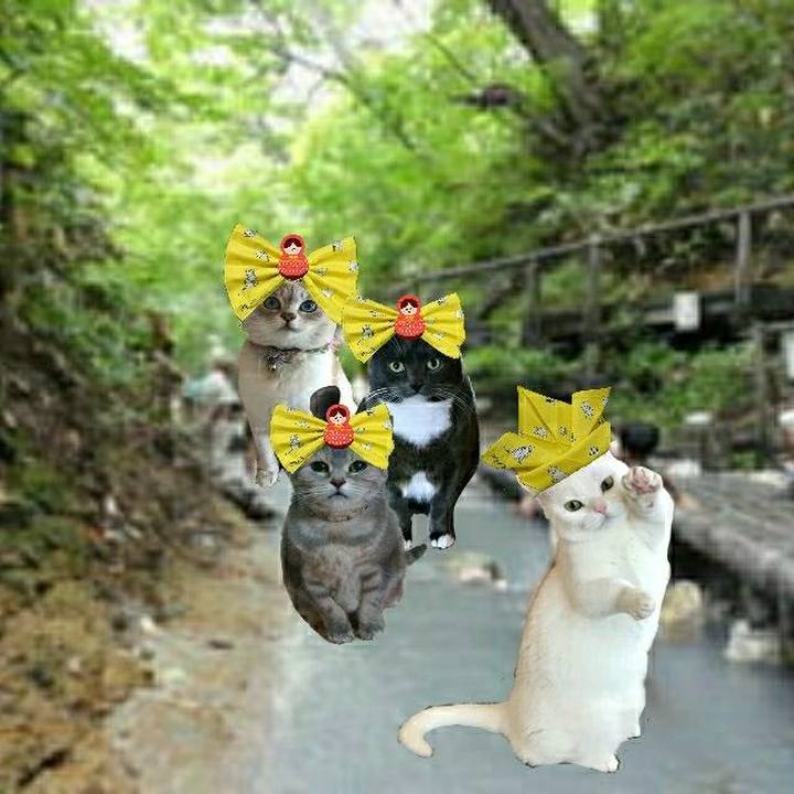 6216afdf f848 4cde 9187 f082749ead3f 1525512144978