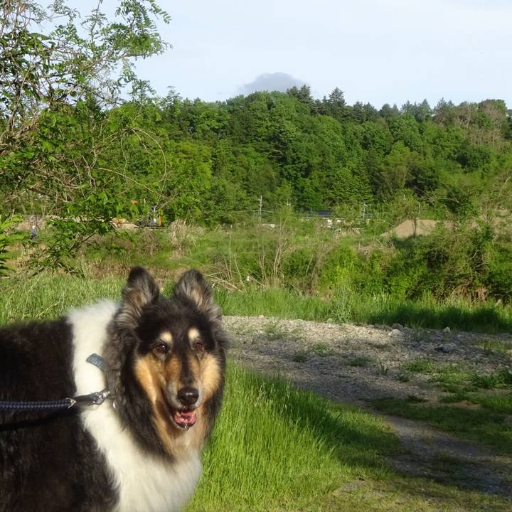 6216caf4 3c8d 430e b2ee acb5dbc1af33 1588596943206