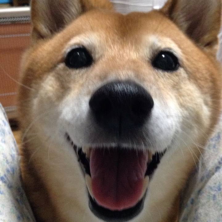 6216e521 7ed6 4fe0 aace 4fb832a10ffc 1538824303066