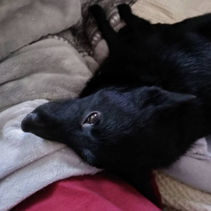 62172182 f950 4852 ab1d 065df1170941 1551330886825