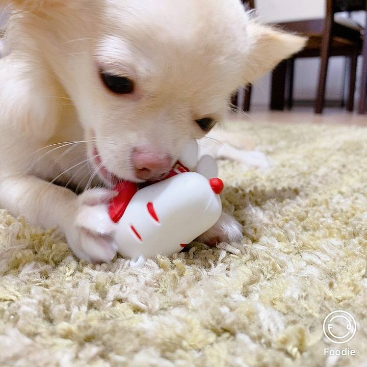 6217322e 3316 44e1 a6cb 8cf15203185c 1599813003703