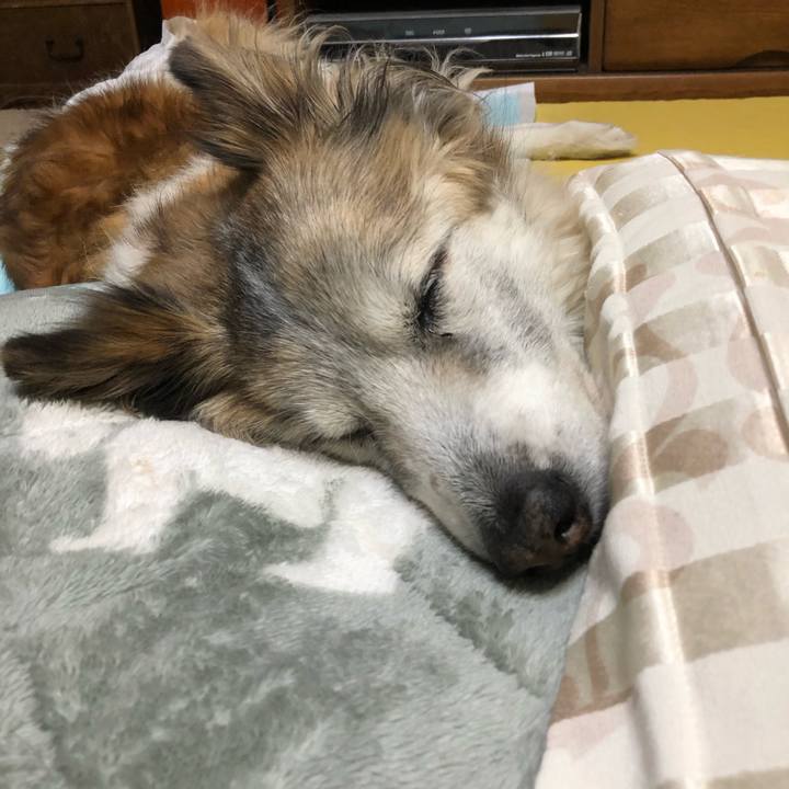 62173334 4511 4f64 8b88 e96f77a00a04 1550245389336