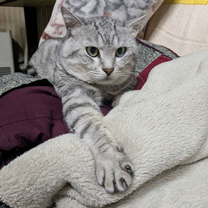 62175d68 6542 40ed a0dd d0ae23656fc1 1741773167679