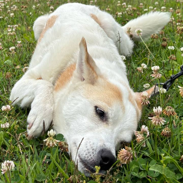 62177bc1 8ee3 44e2 99c9 47a6db26d8e2 1748085079716