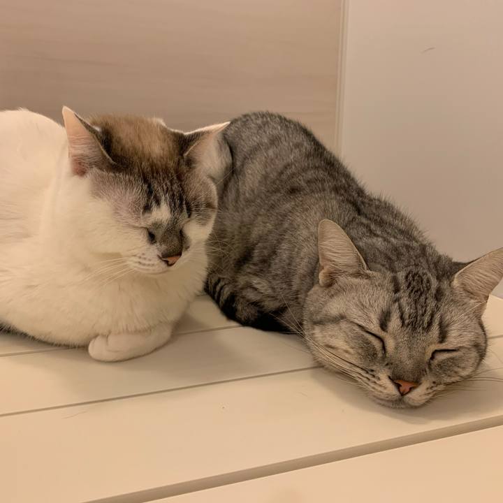 62177cea 5c69 4d50 9883 69f104ea5a01 1615105203618