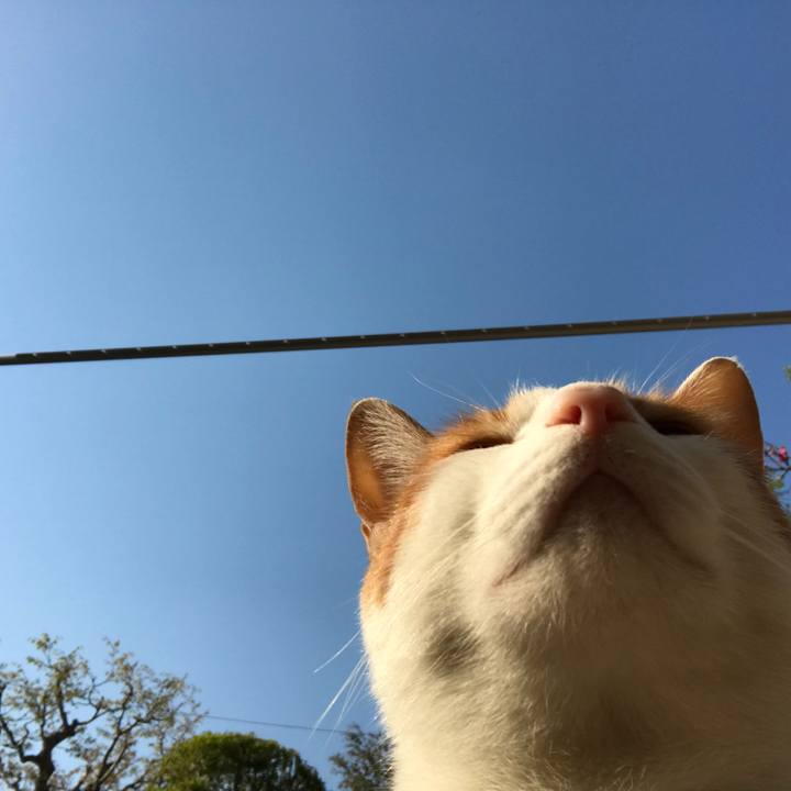 621782c5 03da 4b3a bd5e effaf3f469c0 1524872442179