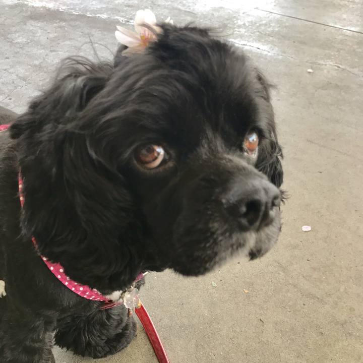 6217a244 abb4 41fb b3bc 8895076f0edf 1522928483448