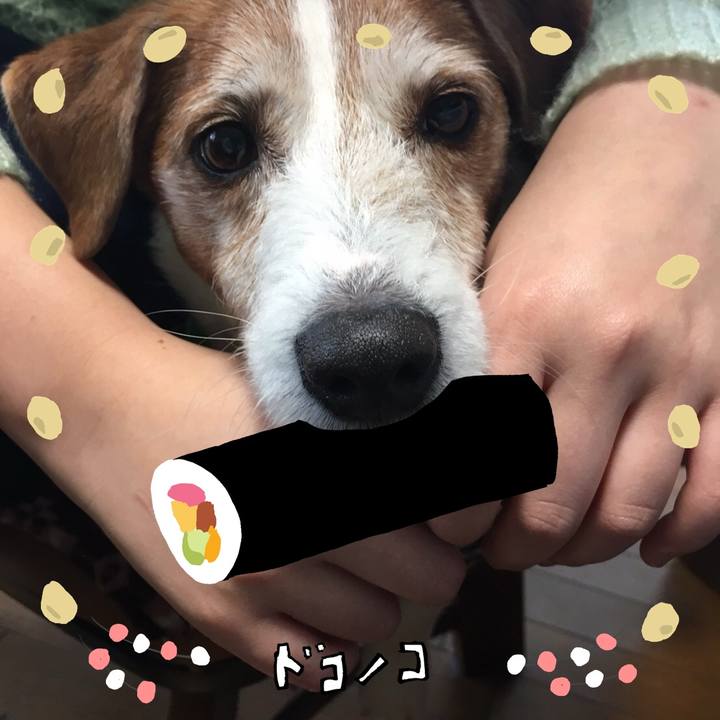 6217d5b8 fcdb 4132 8e78 df23bb2a348e 1741079976170