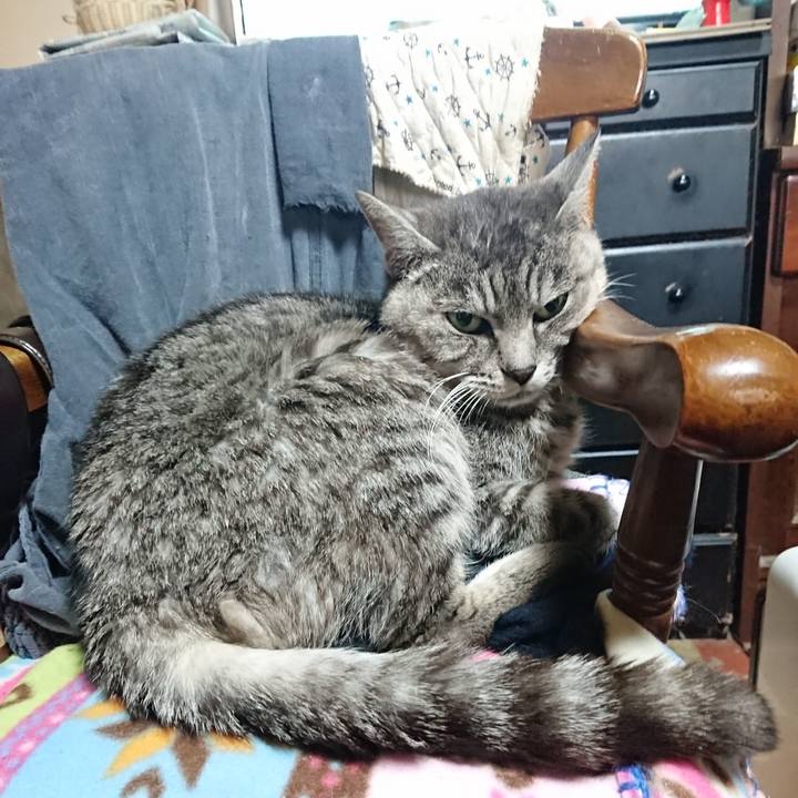 6217f94e ef14 4a1e aa0e 682bfa44ff47 1574467407290