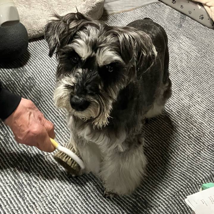 62180cb2 71bf 4fea 9ca5 8979d8a59579 1772575380559