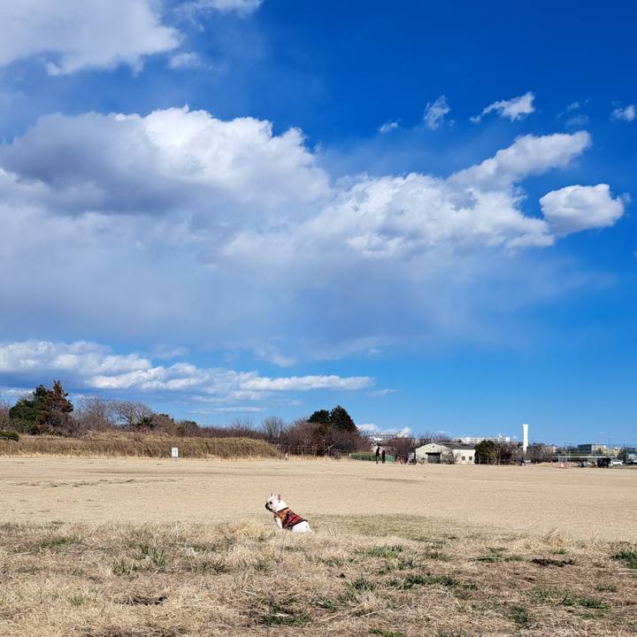 62180e3a 9880 4103 89e1 ae3b690886ab 1710195008625