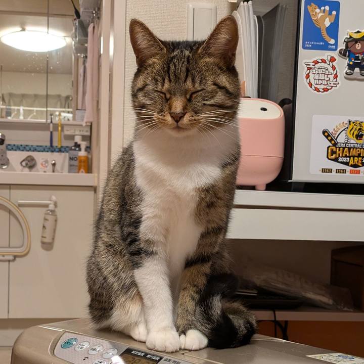 62181510 78ba 4304 9a25 82995c152a4a 1733231338533